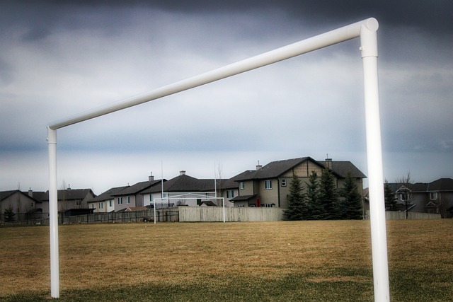 并取得优秀 并取得优秀