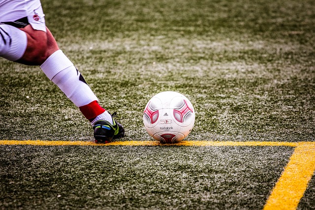 球场视野和 球场视野和