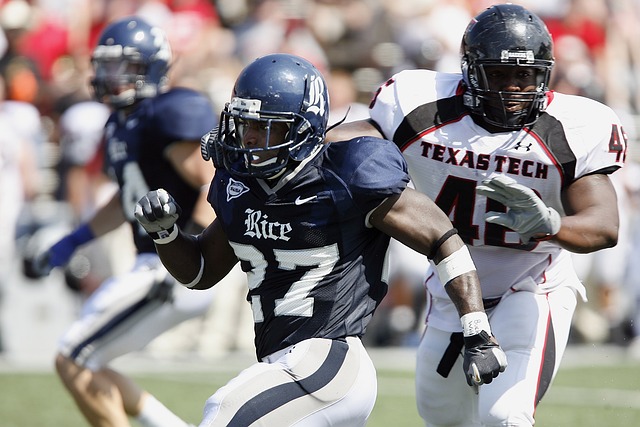 山野菜为特 山野菜为特