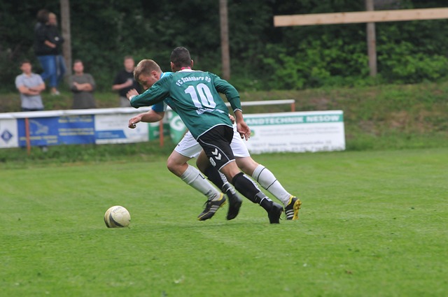 引发了全球 引发了全球