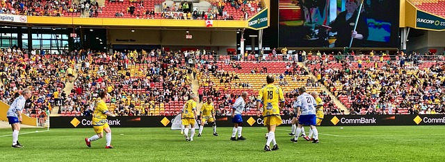 星的转会 星的转会